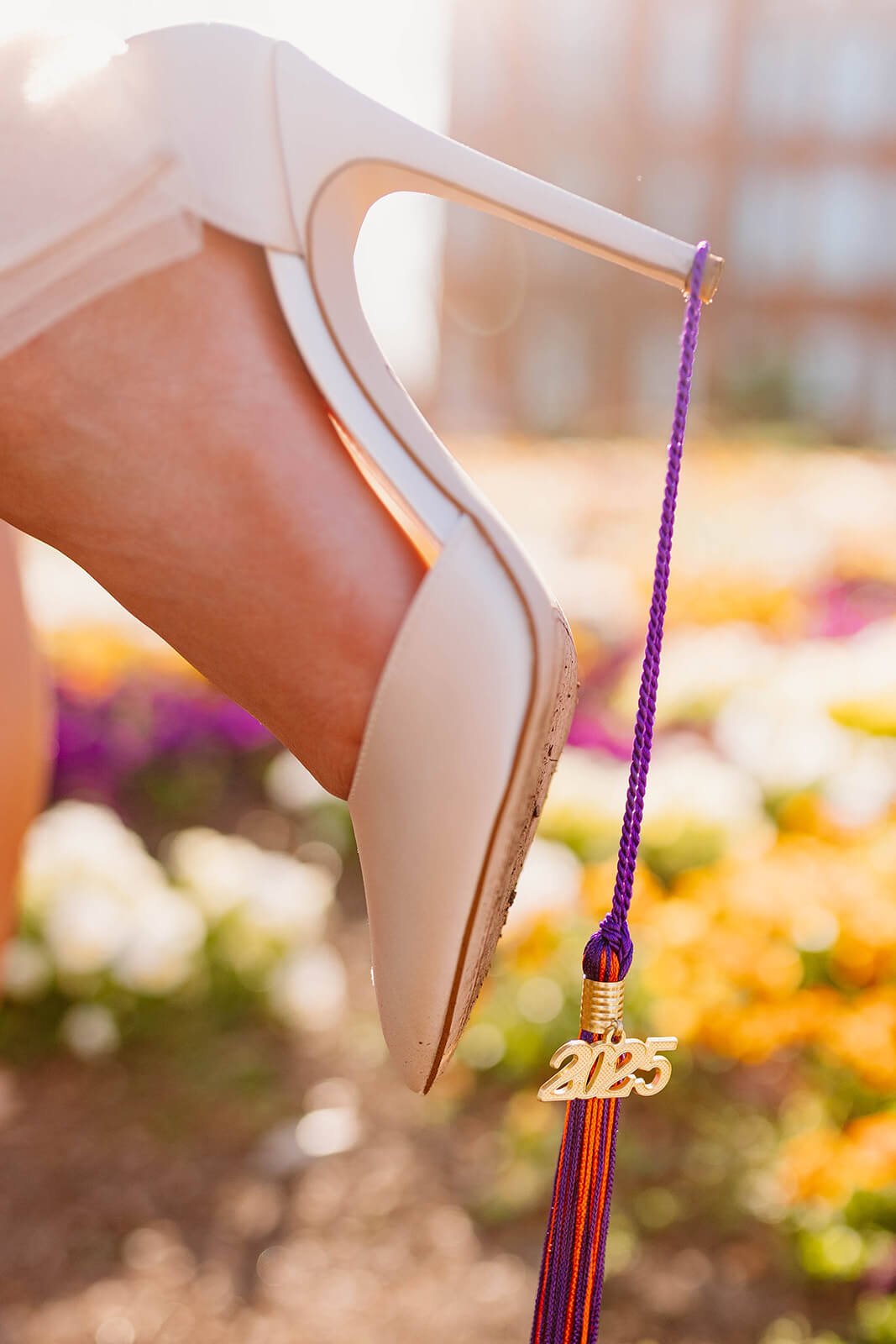 Graduation - Holland Creatives