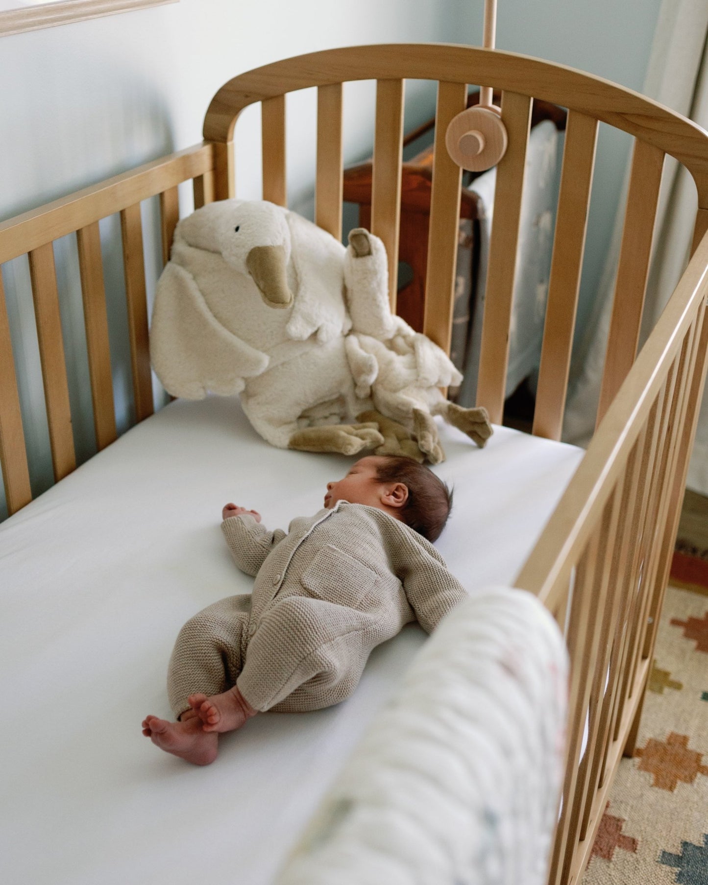 Newborn - Holland Creatives
