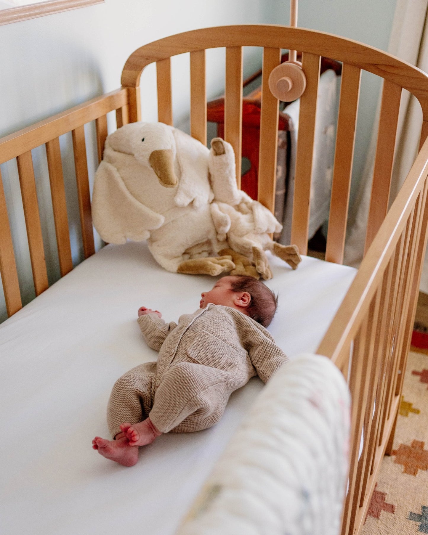 Newborn - Holland Creatives