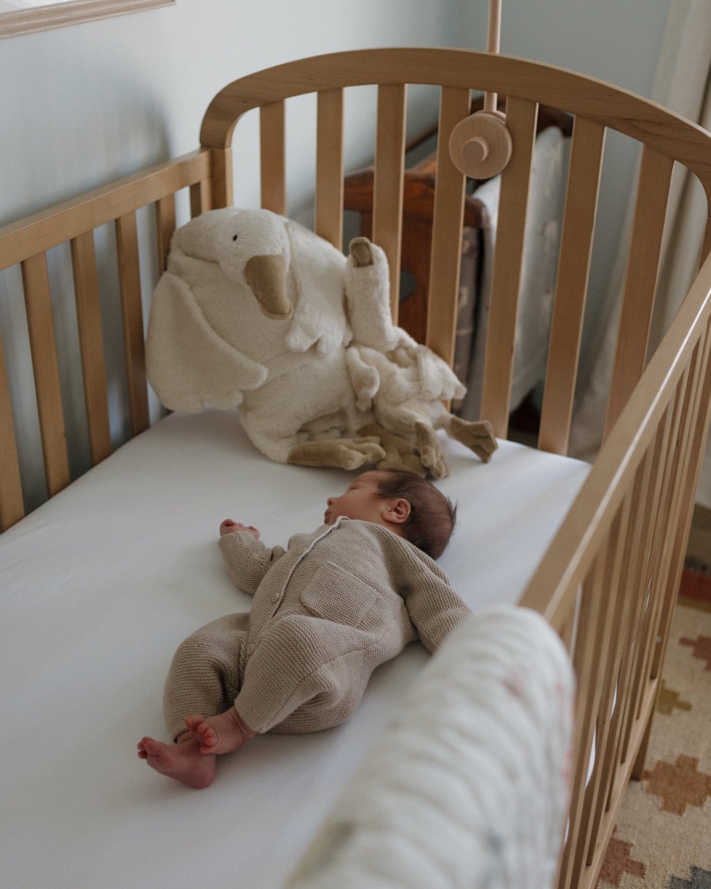 Newborn - Holland Creatives